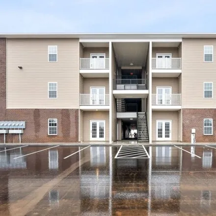 Rent this 1 bed apartment on Professional Park Drive in Clarksville, TN