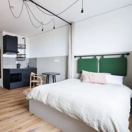 Rent this studio apartment on Wolbecker Straße 16a in 48155 Münster, Germany