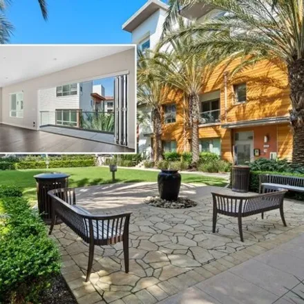 Rent this 3 bed condo on Sausalito at Playa Vista - Bldg 5 in 12411 West Fielding Circle, Los Angeles