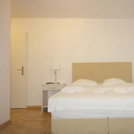Image 3 - City Apartments, Friesstrasse, 8052 Zurich, Switzerland - Apartment for rent