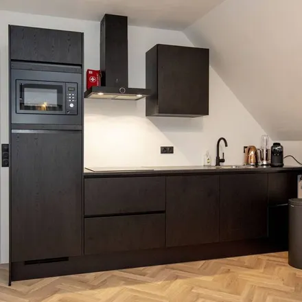 Image 5 - Offingawier, Frisia, Netherlands - Apartment for rent