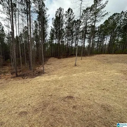 Image 3 - Summit Park Road, Margaret, St. Clair County, AL 35112, USA - House for sale