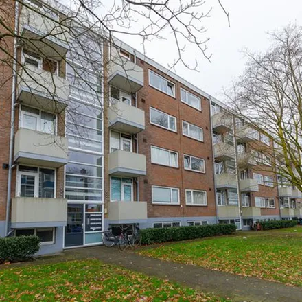Image 5 - Palestrinastraat 58, 7557 SX Hengelo, Netherlands - Apartment for rent
