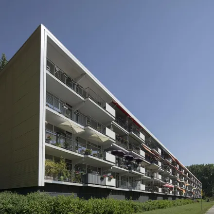 Rent this 4 bed apartment on Dillenburgsingel 308 in 3136 EG Vlaardingen, Netherlands