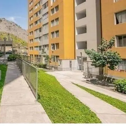 Image 2 - Calle Las Lilas, La Molina, Lima Metropolitan Area 14024, Peru - Apartment for rent