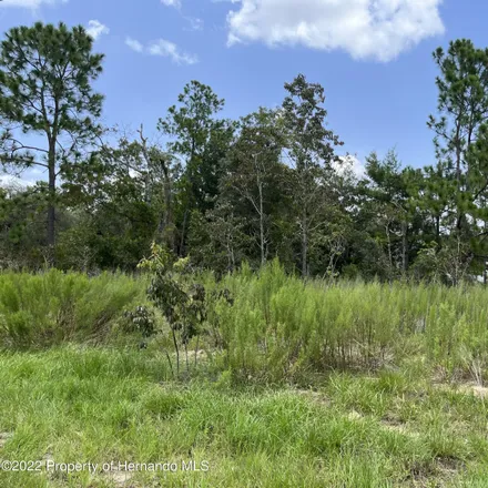 Image 1 - 2877 West Sheila Drive, Citrus County, FL 34433, USA - House for sale