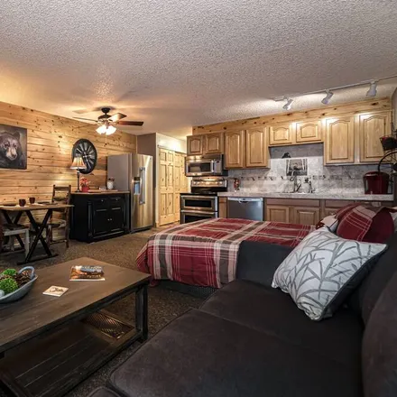 Image 2 - Granby, CO, 80446 - Apartment for rent