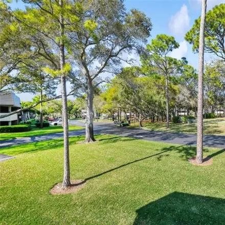 Image 5 - Innisbrook Drive, Innisbrook, Pinellas County, FL 34681, USA - Condo for sale