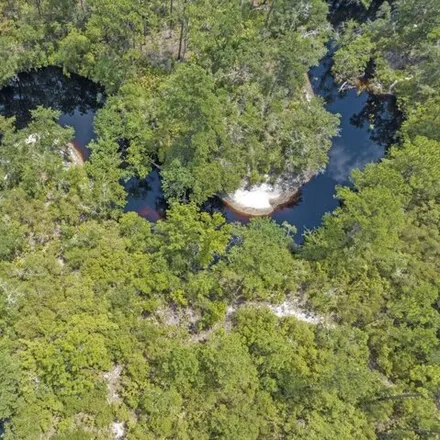 Image 3 - 261 Lost Creek Trail, Arran, Wakulla County, FL 32327, USA - House for sale
