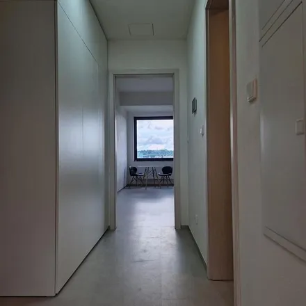 Rent this 1 bed apartment on EuroOil Brno in Opuštěná, Opuštěná