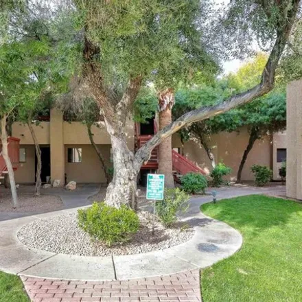 Image 2 - 3131 West Cochise Drive, Phoenix, AZ 85029, USA - Apartment for rent