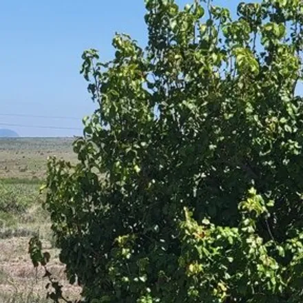 Image 9 - Carmen's Cafe, East San Antonio Street, Marfa, TX 79843, USA - Apartment for sale