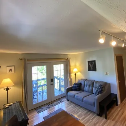Image 2 - Town of Ellicottville, NY, 14731 - Apartment for rent