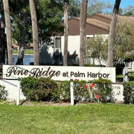 Image 2 - 2636 Pine Ridge Way South, Palm Harbor, FL 34684, USA - Condo for rent