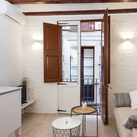 Rent this studio apartment on Carrer de la Riera Baixa in 13, 08001 Barcelona