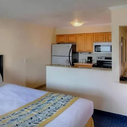 Rent this 1 bed apartment on Tampa