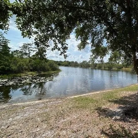 Image 7 - 8604 Egret Point Ct, Tampa, Florida, 33647 - House for sale