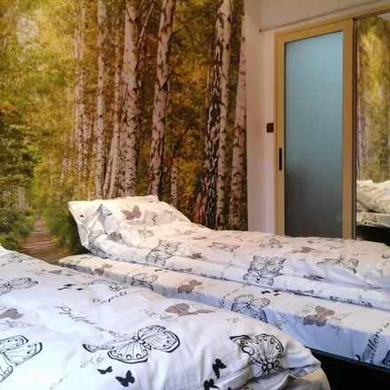 Rent this 1 bed apartment on Brasov in Blumăna, RO