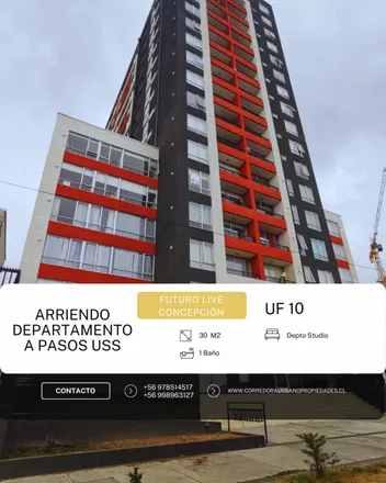 Rent this 1 bed apartment on Universidad San Sebastián in Cruz 1577, 408 1375 Concepcion