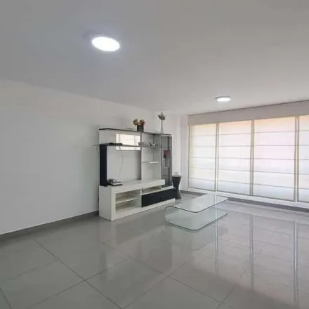 Rent this 3 bed apartment on Buenos Aires Street 234 in Miraflores, Lima Metropolitan Area 15074