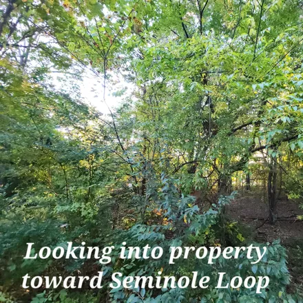 Image 3 - 3130 Seminole Loop, Lake Tansi, Cumberland County, TN 38572, USA - House for sale