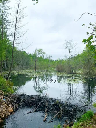 Buy this studio house on 594 White Pond Road in White Pond, Aiken County