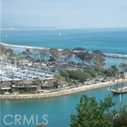 Rent this 1 bed apartment on 34344 Green Lantern Street in Dana Point, CA 92629