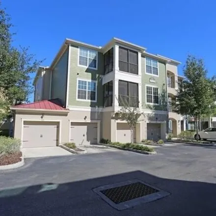 Rent this 2 bed apartment on 25145 Lovegrass Drive in Wesley Chapel, FL 33559