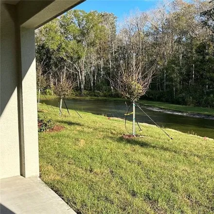 Image 3 - Nectar Flume Drive, Fivay Junction, Pasco County, FL 34673, USA - House for rent