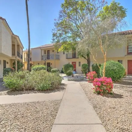 Image 1 - 4816 North 73rd Street, Scottsdale, AZ 85251, USA - House for rent
