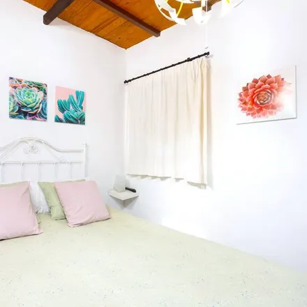 Rent this 2 bed house on Cer Icod de los Vinos in Carretera del Amparo, 38438 Icod de los Vinos