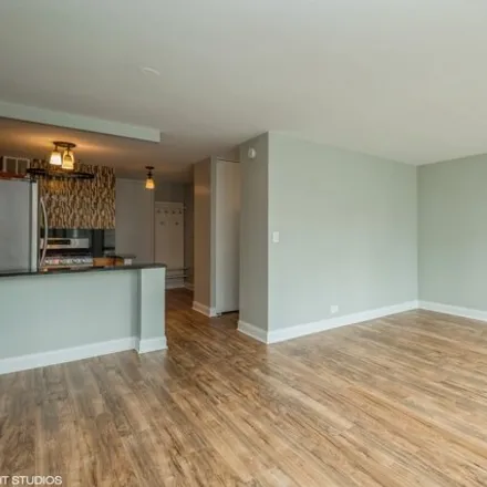 Image 6 - 1 E Scott St Apt 1007, Chicago, Illinois, 60610 - Condo for rent