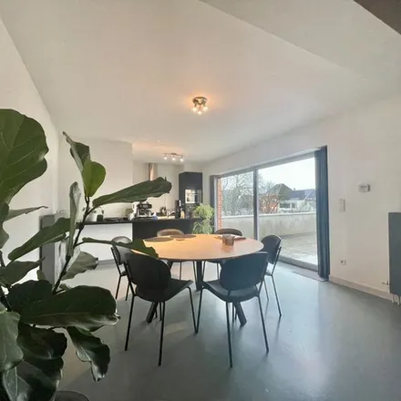 Rent this 1 bed apartment on Oudenaarde Bergstraat in Remparden, 9700 Oudenaarde