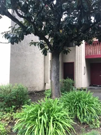 Rent this 3 bed condo on 19 Redwood Court in Santa Rosa, CA 95409