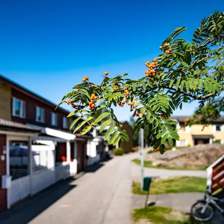 Image 4 - Hagtornsvägen, 613 37 Oxelösund, Sweden - Apartment for rent