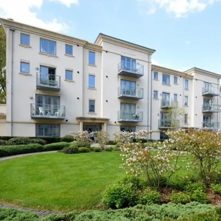 Rent this 1 bed room on Cedar Court in Humphris Place, Cheltenham