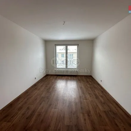 Image 4 - Kočičí kavárna U Surinky, Svatošova 307, 390 01 Tábor, Czechia - Apartment for rent