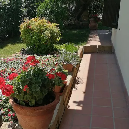 Image 7 - 48015 Cervia RA, Italy - House for rent