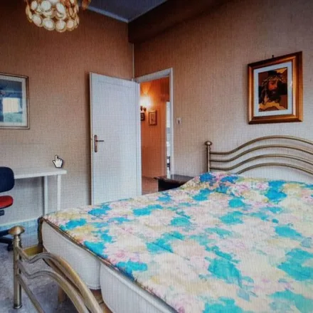 Image 1 - Alessandrino/Oleandri, Viale Alessandrino, 00169 Rome RM, Italy - Room for rent