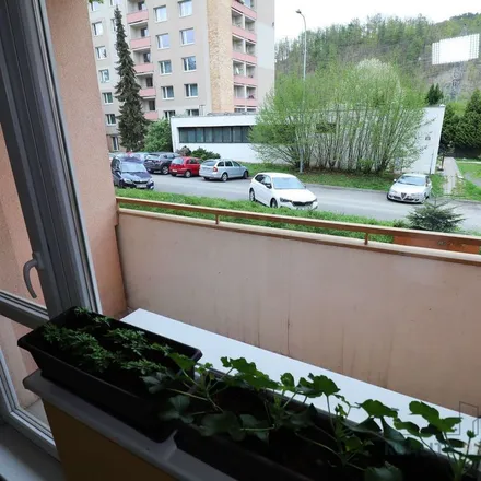 Rent this 1 bed apartment on Černého 781/7 in 635 00 Brno, Czechia