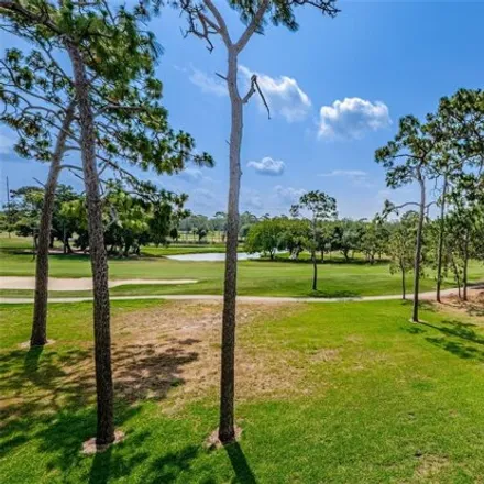 Image 6 - Innisbrook Golf Resort, 36750 Galleria Avenue, Palm Harbor, FL 34684, USA - Condo for sale