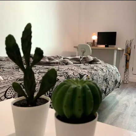 Rent this 1 bed room on Calle Pérez del Toro in 21, 35004 Las Palmas de Gran Canaria