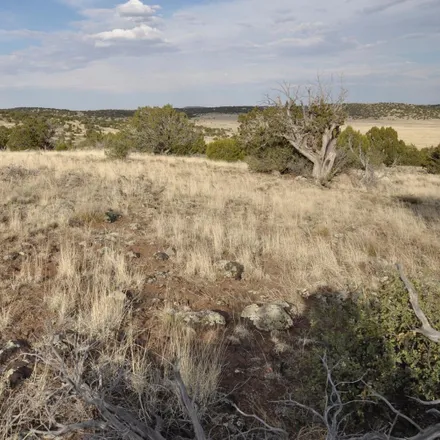 Image 9 - 30 North C Street, Springerville, Apache County, AZ 85938, USA - House for sale