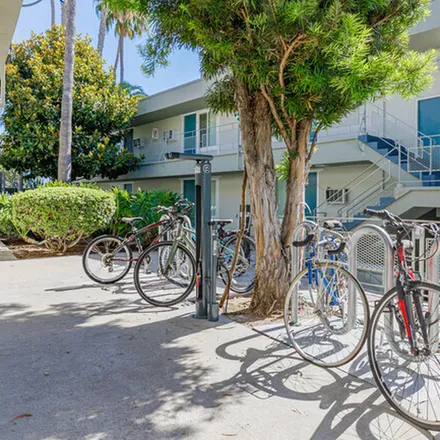 Rent this 1 bed apartment on Montezuma Road in San Diego, CA 92112