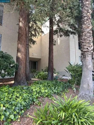 Rent this 2 bed condo on 177 Sierra Drive in Walnut Creek, CA 94596