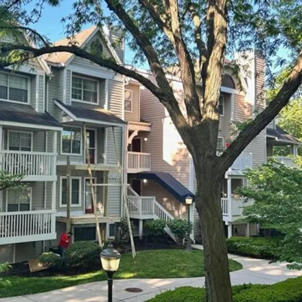 Rent this 3 bed apartment on 10746 Hampton Mill Terrace in North Bethesda, MD 20852