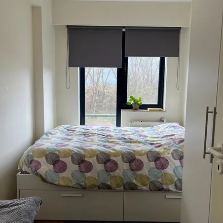 Rent this 1 bed apartment on Edelzangerslaan 2 in 3010 Leuven, Belgium
