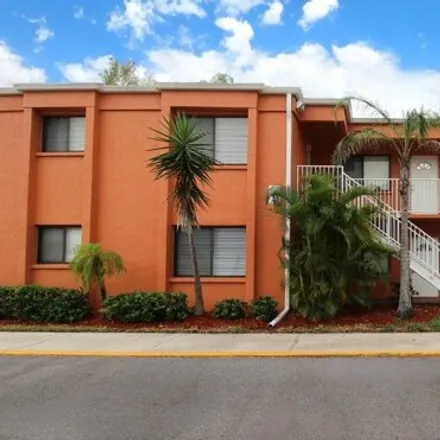 Rent this 1 bed condo on 5310 26th St W Unit 801 in Bradenton, Florida