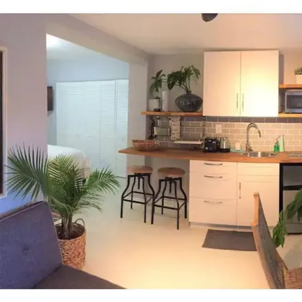 Rent this 1 bed apartment on Coral Gables