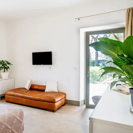 Rent this 1 bed apartment on Orbetello in Strada Provinciale 161 Porto Santo Stefano, 58015 Orbetello GR